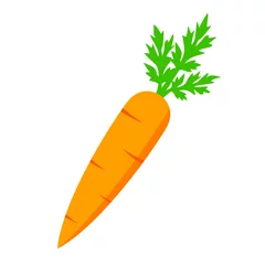 Fotobehang Crunchy carrot vector icon © Arcady