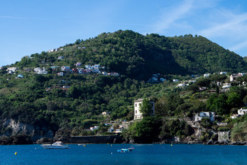 Fototapeta premium Wyspa Ischia w południowych Włoszech