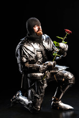 Naklejka premium handsome knight in armor holding rose and bend knee on black background