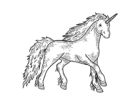 Unicorn mythical magical animal sketch engraving vector illustration. T-shirt apparel print design. Scratch board style imitation. Black and white hand drawn image.