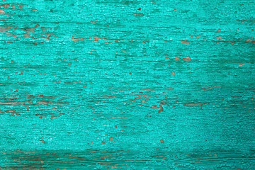 Fototapeta na wymiar Texture of an old dry board with cracked faded green paint, background.