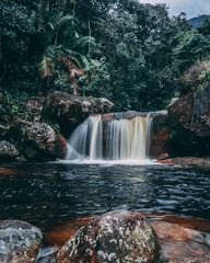 Colombia San Carlos