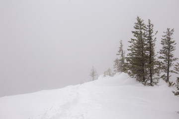 Beautiful winter forest. Zyuratkul national Park, Chelyabinsk region, South Ural, Russia