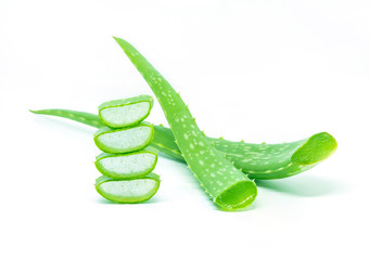 Aloe sliced, isolated on a white background.