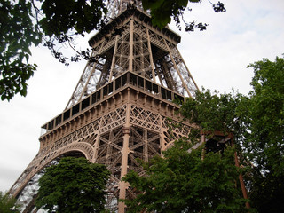 La torre Eiffel tra gli alberi