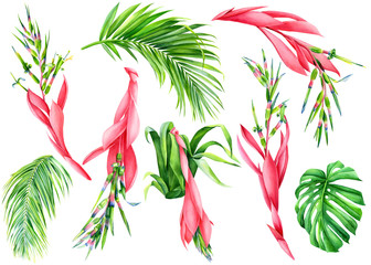 Set of tropical flowers, palm leaves, monstera, heliconia, bromelia on an isolated white background, watercolor illustration, jungle clipart