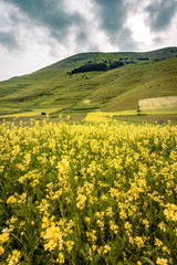 Castelluccio di Norcia