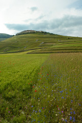 Catelluccio di Norcia