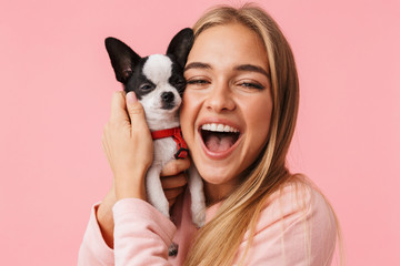 Cute lovely girl playing with her pet chihuahua - obrazy, fototapety, plakaty