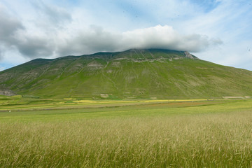 Catelluccio di Norcia