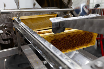 Production of sweet honey from honeycombs in automated factory, close-up.