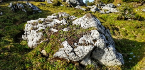 Fototapeta na wymiar Stones in Nature