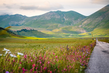 Catelluccio di Norcia