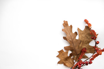 Mockup variado de hojas de otoño