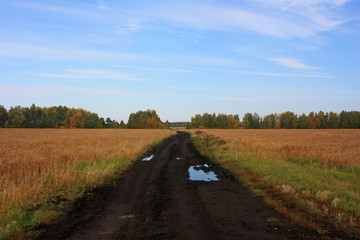 Fototapeta na wymiar Dirty country road in the field