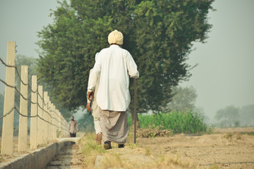 Naklejka na ściany i meble view of an Indian Punjabi in the village fields