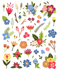 Flowers and plants vector illustrations on white background. Vector botanical set with colorful blossoms and bouquets