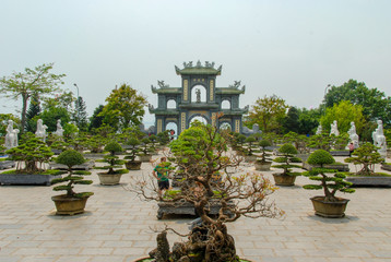 Bonsai garden and entrance gate at Linh Ung Pagoda in Da Nang, Vietnam 