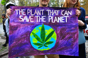 Young people's hands holding broadsheet demanding legalization of medical marijuana, cannabis leaf...