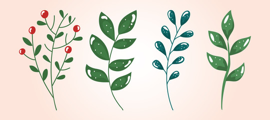 set of branches with leafs and seeds vector illustration design