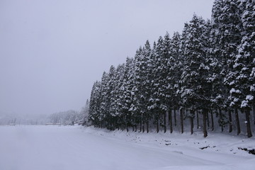 山間地の冬。湯沢　秋田　日本。１月上旬。