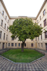 Fototapeta premium Osborne house