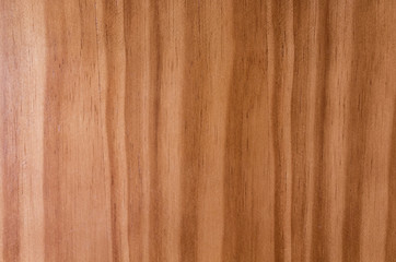 Obraz premium Wood texture. Texture background. Texture element. Wallpaper.