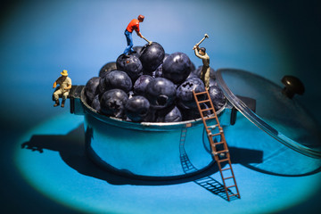 blueberry miner  workers
