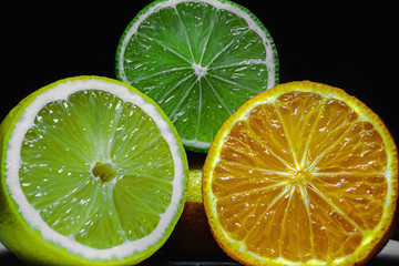 Fototapeta na wymiar Slices of lemon, lime and orange 