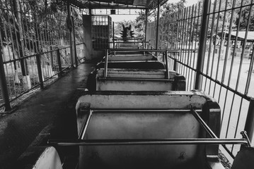 Black and white picture of abandoned and decay amusement park in Da Nang, Vietnam 