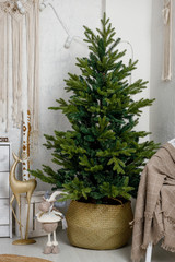 Modern interior design room with Christmas and New Year decorations, toy deer, wicker basket, fir tree. Winter holidays composition. Close up.