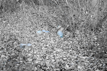 Obraz premium plastic bottles thrown in the woods