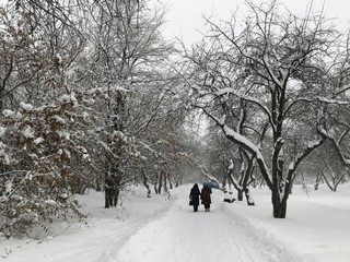 Two women under an umbrella leave on the road in a snow-covered Park. Photographed with an IPhone in February of 2018 in Moscow.