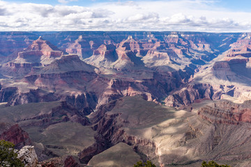 Fototapeta na wymiar Looking over the Edge of the Grand Canyon