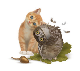 cat animal isolated pet cute owl