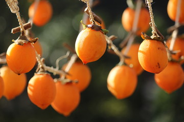 干し柿を作ろう