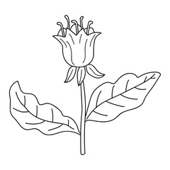 Colorful fantasy doodle cartoon flower isolated on white background. Vector illustration.  