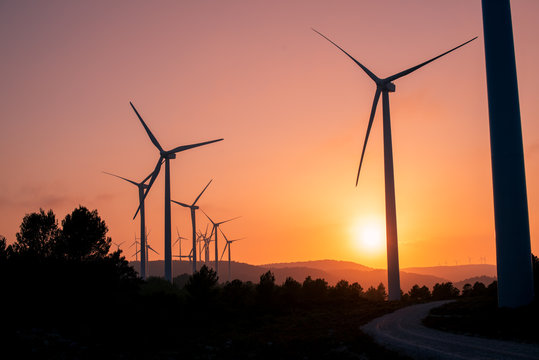 Parque e&oacute;lico