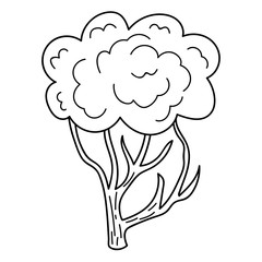 Hand drawn cartoon linear doodle bush isolated on white background. Vector illustration. 