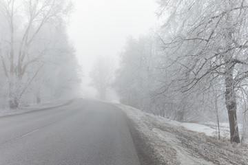 Fototapeta premium Misty and freosty winter morning.