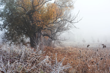 Jesienny przymrozek © Aleksandra Madejska