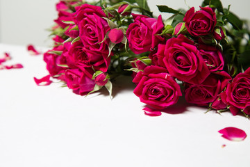 Fototapeta premium bouquet of beautiful red roses isolated