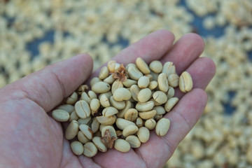 coffee beans