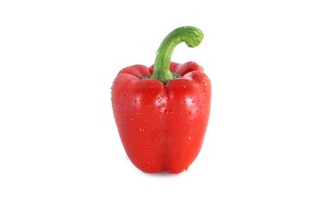 Red fresh bell pepper, paprika isolated with water droplets on white background