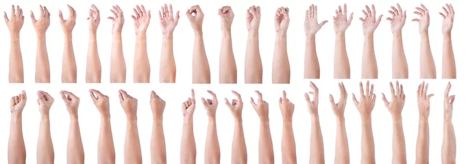 Fotobehang GROUP of Male asian hand gestures isolated over the white background. Soft Grab and Touch Action. © aekkorn