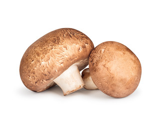 two brown royal champignon on an isolated white background