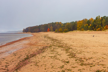 autumn landscape of deserted beach on the Baltic sea