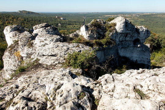 Limestone rocks in nature reserve mountain Zborow in Jura Krakowsko-Czestochowska