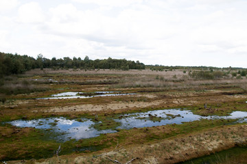 weitblick auf das moor und die wasserstellen in herzlake deutschland