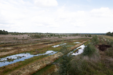 weitblick auf die fläche des moores in herzlake deutschland